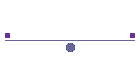 Biplane Rides